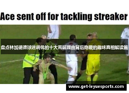 盘点林加德遭球迷调侃的十大荒诞理由背后隐藏的趣味真相解读篇