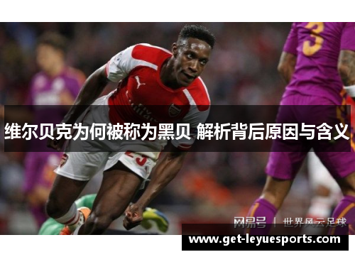 维尔贝克为何被称为黑贝 解析背后原因与含义